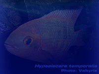 Species Image